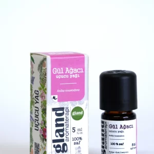 5 ml amber şişe içinde Gland Gül Ağacı Uçucu Yağı, aromaterapi ve doğal cilt bakımı